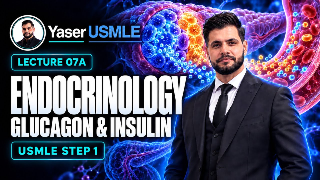 Endocrine Lecture 7-a (Pancreas - Glucagon) USMLE Step1 , Dr Yaser