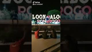 Download lagu Story wa  lucu tiktok COVER ADELE, kota REOG mp3