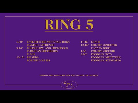 Collies (Rough) | Breed Judging 2026