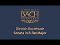 Dietrich Buxtehude: Sonata in B-flat Major • 4K