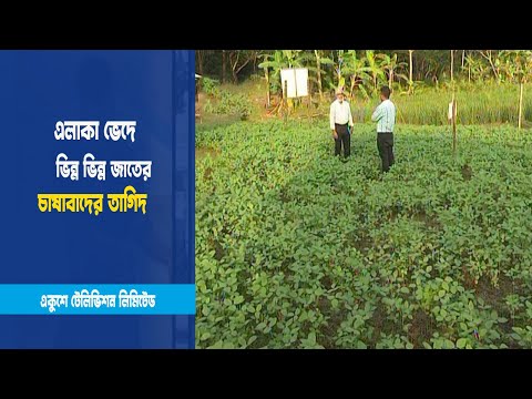 বারোমাসি ফসল সয়াবিন