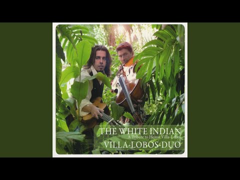 Floresta do Amazonas