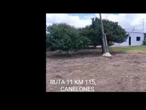 CAMPO DE 3 HAS 3350 MTS, RUTA 11 KM.115, CANELONES