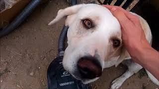 JOÉ DWÈT FILÉ - A DEUX (ALBUM COMPLET) 2019