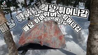 선자령 똥바람 백패킹