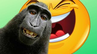 Contagious Laugh Compilation #7