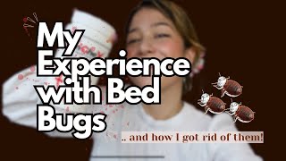 Real Talk: My Experience with Bedbugs in Hong Kong 香港