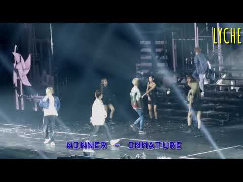 [Fancam] Winner - Immature (Cross Tour in Manila)