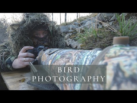 How to photograph the dipper // Bird Photography with camouflage