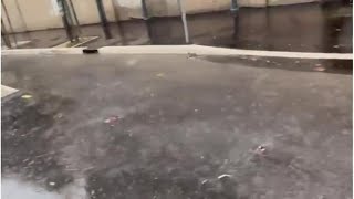 A Roma piove da 48 ore, la ciclabile di via Panama si allaga. Il fiume d'acqua non scorre nelle c...