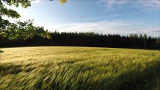 THE DAY BEFORE YOU CAME - B. A. PIANO