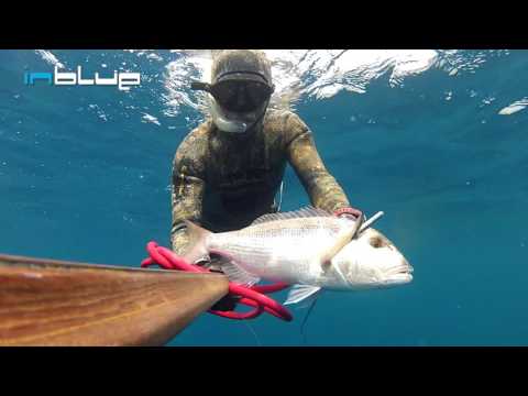 Spearfishing with Dimitris Tsentas-"Under the Surface"-VOL.4-"The Blur+Deep Project "