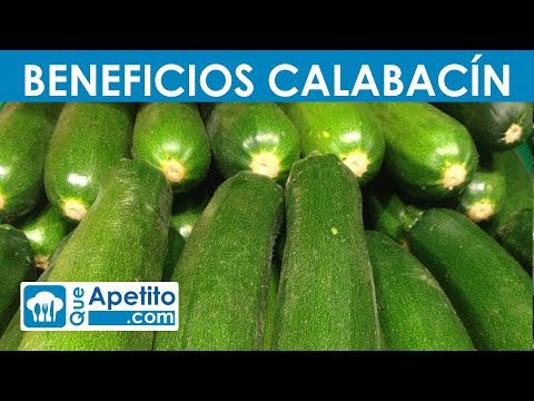 , title : '8 Propiedades y Beneficios del Calabacín | QueApetito'