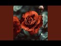 Raindrop Waltz No. 1 in B Minor