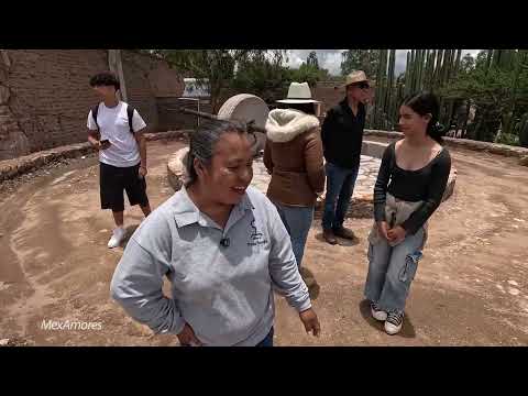 Del agave al mezcal: visita a la mezcalera Pozo Hondo en Guanajuato