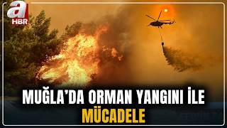 Muğla'da orman yangını! Fethiye-Antalya kara yolu ulaşıma kapatıldı | A Haber