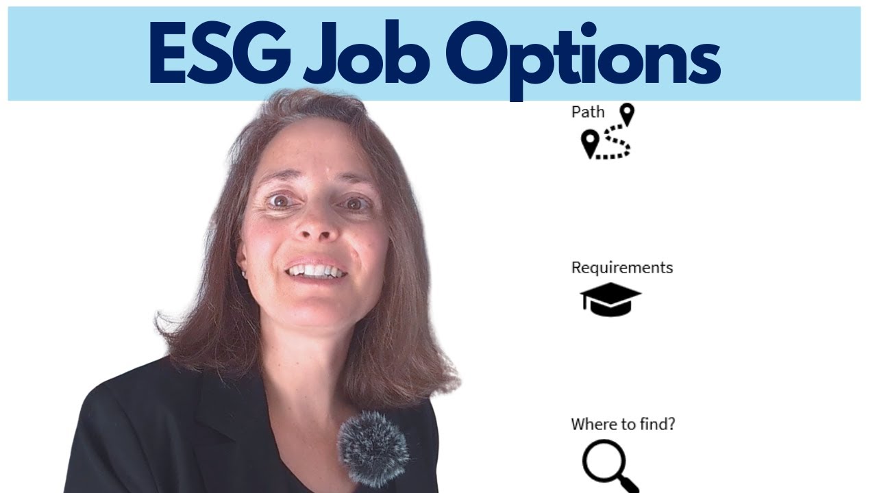 Top Sustainability Job Finding Strategies (That Worked for Me)