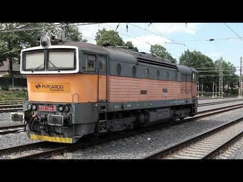 Zugverkehr in Lovosice / CZ am 10.05.2024 - Elefanten, Brillen & Co.