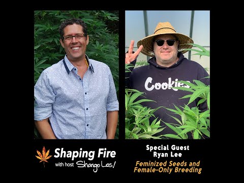 Shaping Fire Ep. 64 - Feminized Seeds and Female-Only Breeding with guest Ryan Lee