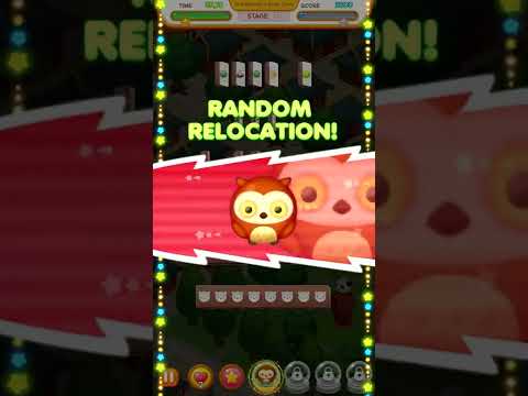 Sichuan Puzzle with Animal Video