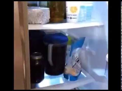 Fiesta loca en el refrigerador