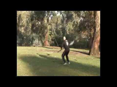 Chen Pan Ling System