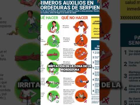 🐍 Los accidentes ofídicos pueden ocurrir en segundos… y saber qué hacer puede salvar una vida?