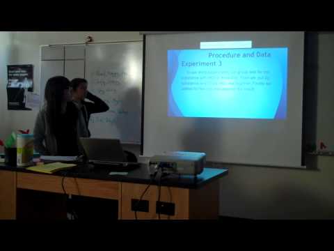 Meybel and Xuqing's presentation