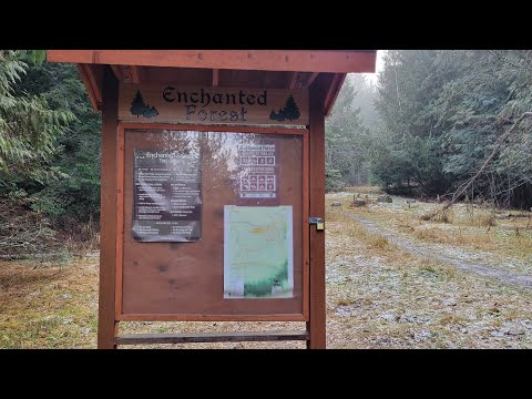 The Enchanted Forest