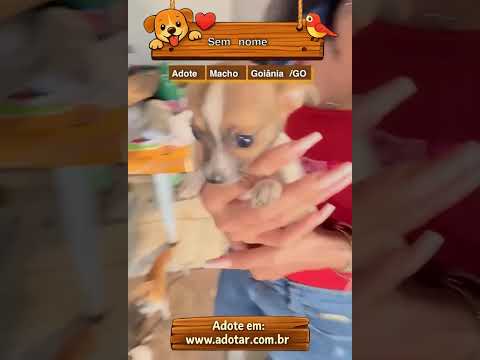 Vídeo de Sem nome 