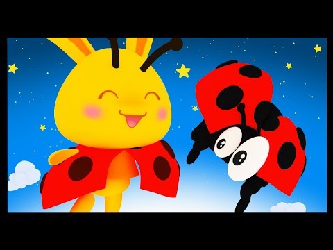 Coccinelle Demoiselle Comptines Et Chansons Pour Bebe Titounis