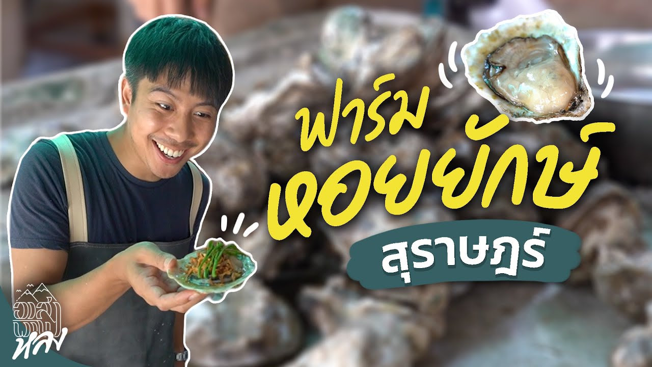 Surat Thani Oyster Farms