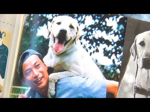 The Horrors of Japanese - English Textbooks