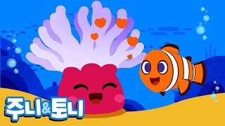 서로 돕는 친구들 | 내 짝꿍은 어디있지? 😻 | 아이들을 위한 동물동요 |  주니토니 by 키즈캐슬