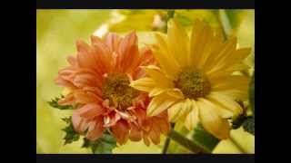 Come away by Donny Reagan