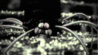 Bittersweet / Hatching Mayflies - the HIATUS