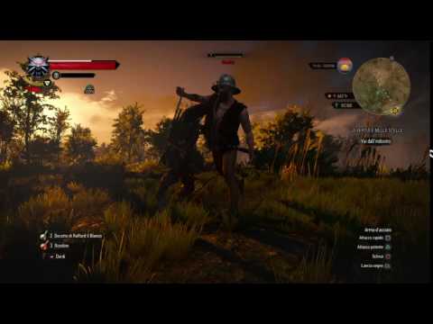 The Witcher 3: Wild Hunt – zacchete