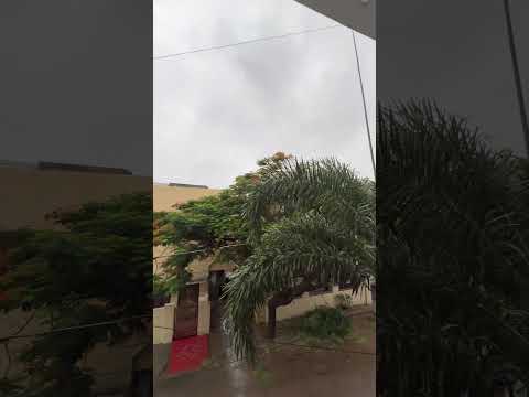 Lovely song #moonsoon #vibes #shorts #sayeedapage