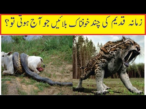 Dunyia Ki Khoofnaak Balyian