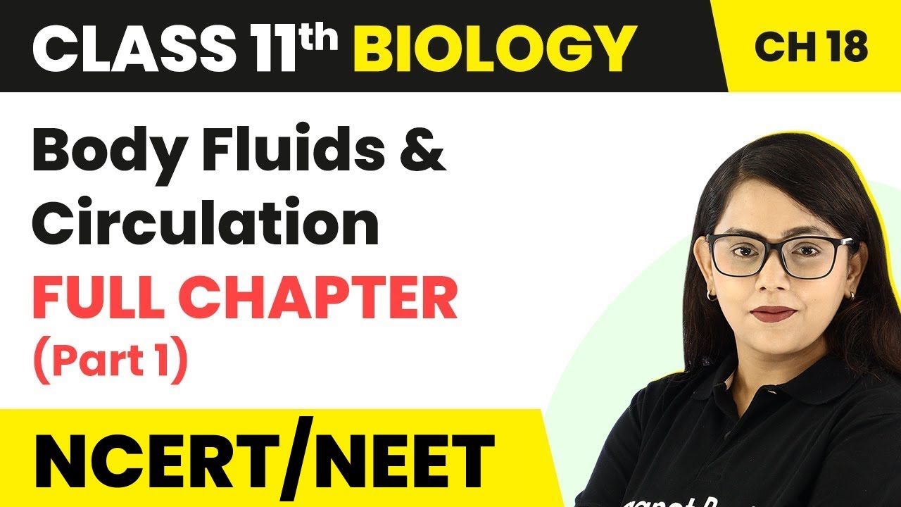 Class 11 Biology Chapter 18 | Body Fluids And Circulation Full Chapter Explanation (Part 1)