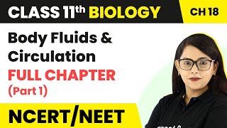 Class 11 Biology Chapter 18 | Body Fluids And Circulation Full Chapter Explanation (Part 1)