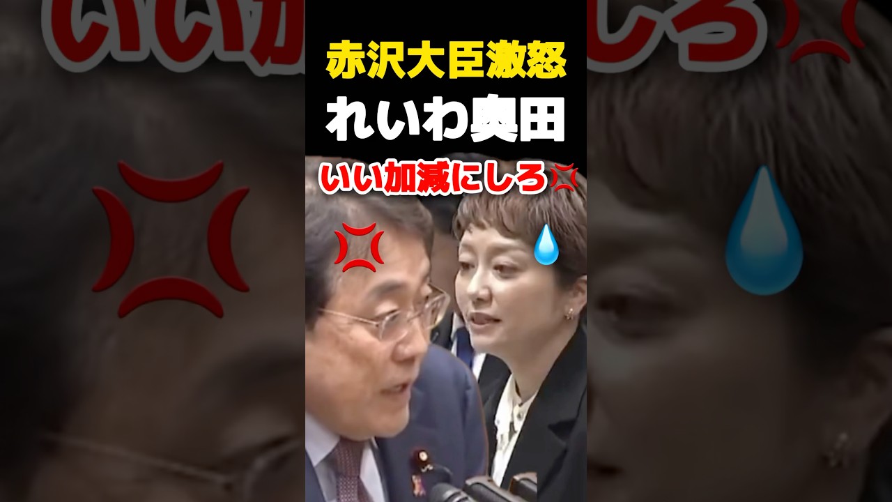 赤沢大臣激怒れいわ奥田いい加減にしろ　#高市早苗 #高市政権 #小泉進次郎 #赤沢大臣　#れいわ #奥田 #政治 #国会 #shorts #short