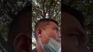 Download lagu Sai Horas Maho tu siboru Lomomi #bataksong mp3 Download lagu Sai Horas Maho tu siboru Lomomi #bataksong mp3