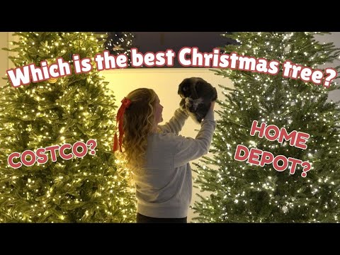 The Cutest Christmas Tree Review! 2025 Costco vs Home Depot Grand Duchess- Side by Side Comparison
