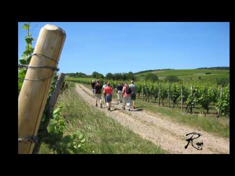 Wandern und radfahren im Rheingau