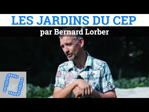 , title : '9% de MO aux Jardins du CEP, avec Bernard Lorber (MSV)'