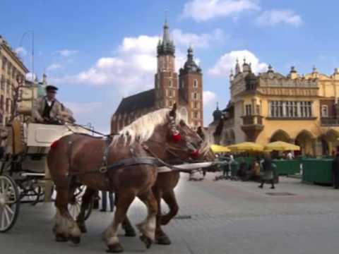WYD Kraków Poland 2016 (Teresa Tran).