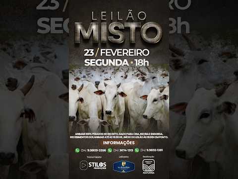 LEILÃO MISTO - SINDICATO RURAL DE MATUTINA-MG