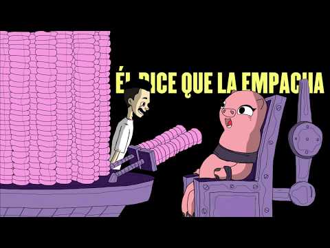 Punchs Ilustrados de FMS #1 - Facha Vietnamita - Papo Vs Cacha