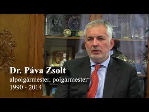 ARCKÉPCSARNOK II. A pécsi politikai rendszerváltás története 1990-2014 dokumentumfilm, Páva Zsolt
